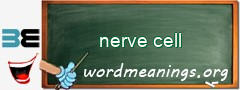 WordMeaning blackboard for nerve cell